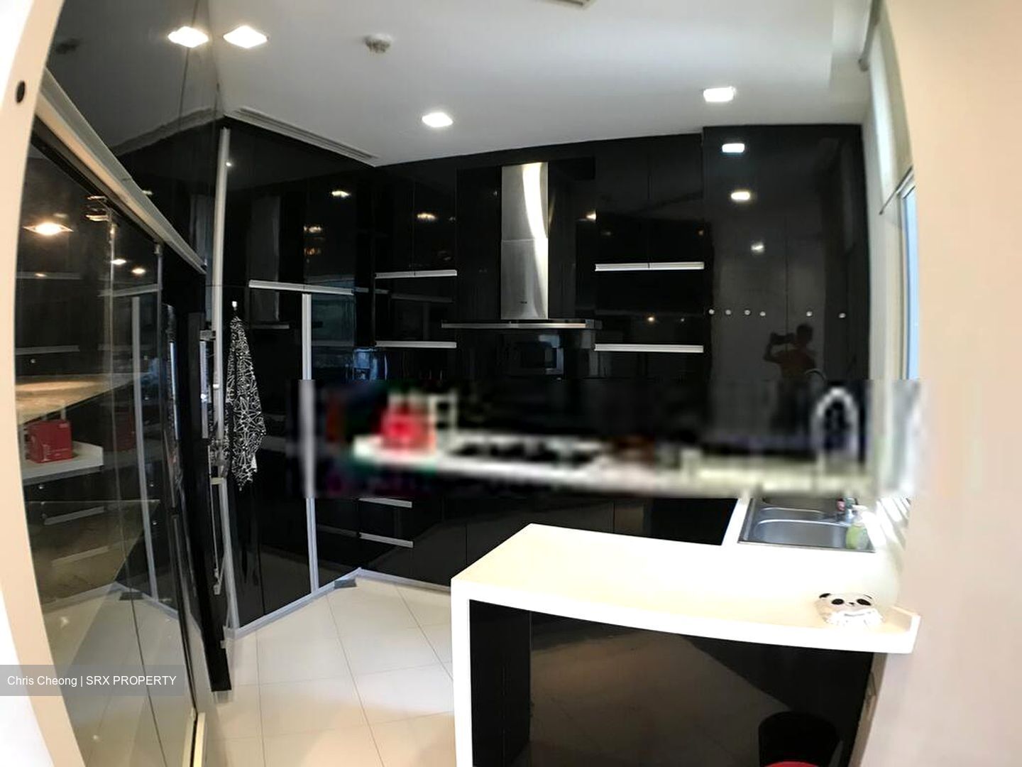 Harvest Mansions (D3), Apartment #454547691